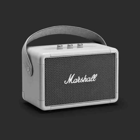 speaker b1